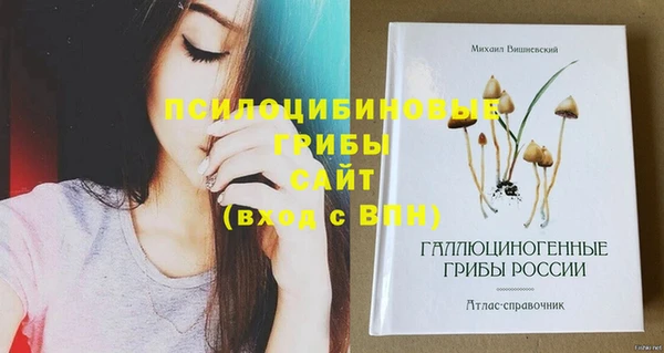 прущие крисы Инсар