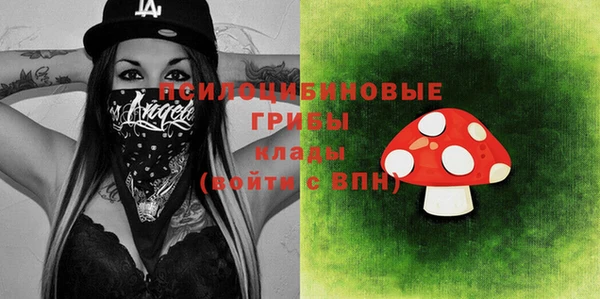 мескалин Инта