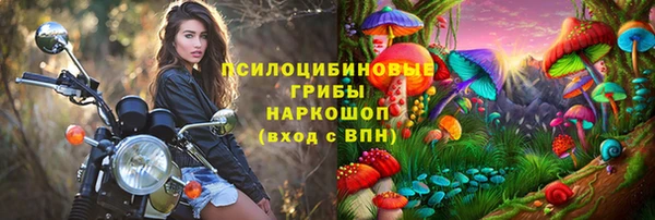 мяу мяу кристалл Иннополис