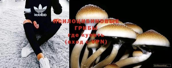 мяу мяу кристалл Иннополис